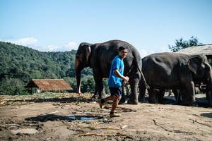 BIB: 
                            <button type="button" onclick="openModal(22423661)" class="btn btn-primary btn-sm float-right btn-popup" data-toggle="modal" data-target=".modal-high-quality">
                        <i class="fas fa-shopping-cart"></i> Add to Cart
                    </button>
                                            <button type="button" onclick="isThisMe(22423661, true)" class="btn btn-success btn-sm float-right btn-popup btn-isme hidden" data-toggle="tooltip" data-placement="bottom" title="นี่คือรูปของคุณใช่ไหม คลิกที่นี่เพื่อเอาเข้าอัลบั้ม">
                        <i class="fas fa-plus"></i> Add to album
                    </button>
                    <button type="button" onclick="isThisMe(22423661, false)" class="btn btn-warning btn-sm float-right btn-popup btn-isnotme hidden">
                        <i class="fas fa-ban"></i> Remove from album
                    </button>